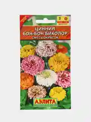 Семена цветы "Цинния Бон бон биколор"
