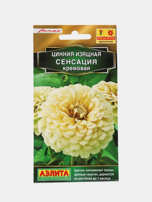 Семена цветы "Цинния Сенсация кремовая"
