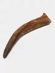 Рог Лося 17-23 см, для крупных и средних пород собак, 110-160 гр