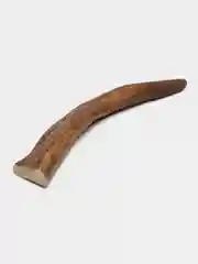 Рог Лося 17-23 см, для крупных и средних пород собак, 110-160 гр