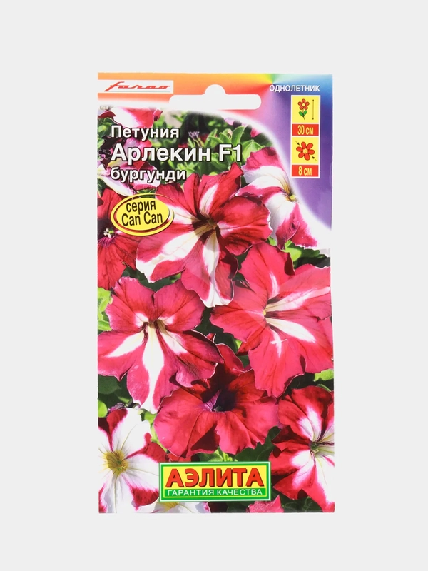 Петуния Арлекин бургунди (семена,цветы)