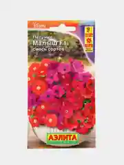 Петуния мини Малыш смесь (семена,цветы)