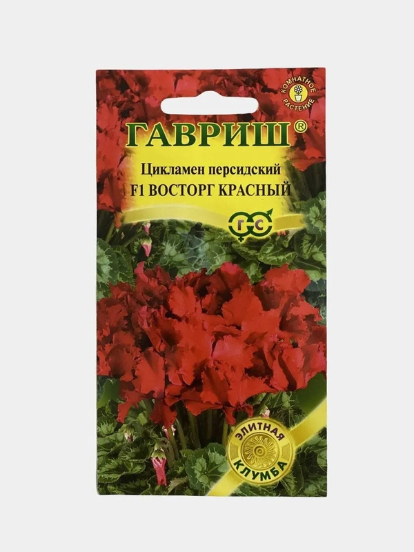 Цикламен "Восторг" красный персидский