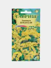 Семена лимониума "Бондуели"
