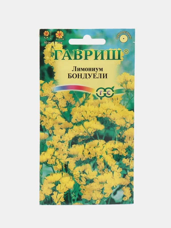Семена лимониума "Бондуели"