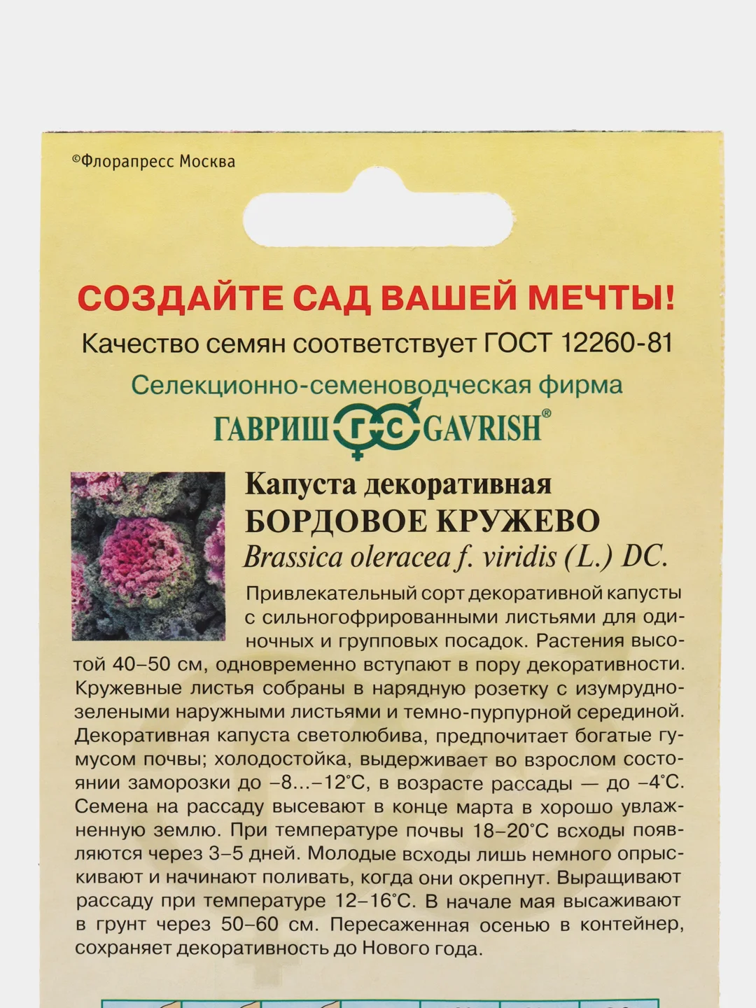 Аметистовый капуста декоративная в ассортименте, семена