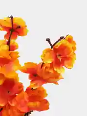 Красный искусственные цветы "Сакура"