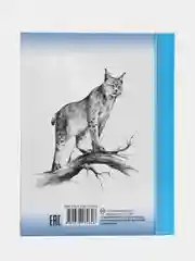 Детская книга Школьная библиотека "Лесные домишки", В. Бианки, Проф-Пресс
