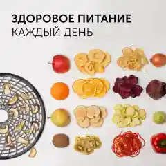 Сушилка для овощей и фруктов RED Solution RFD-0122
