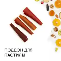Сушилка для овощей и фруктов RED Solution RFD-0122