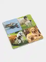 Мемо "Домашние животные", для детей, 30 карточек