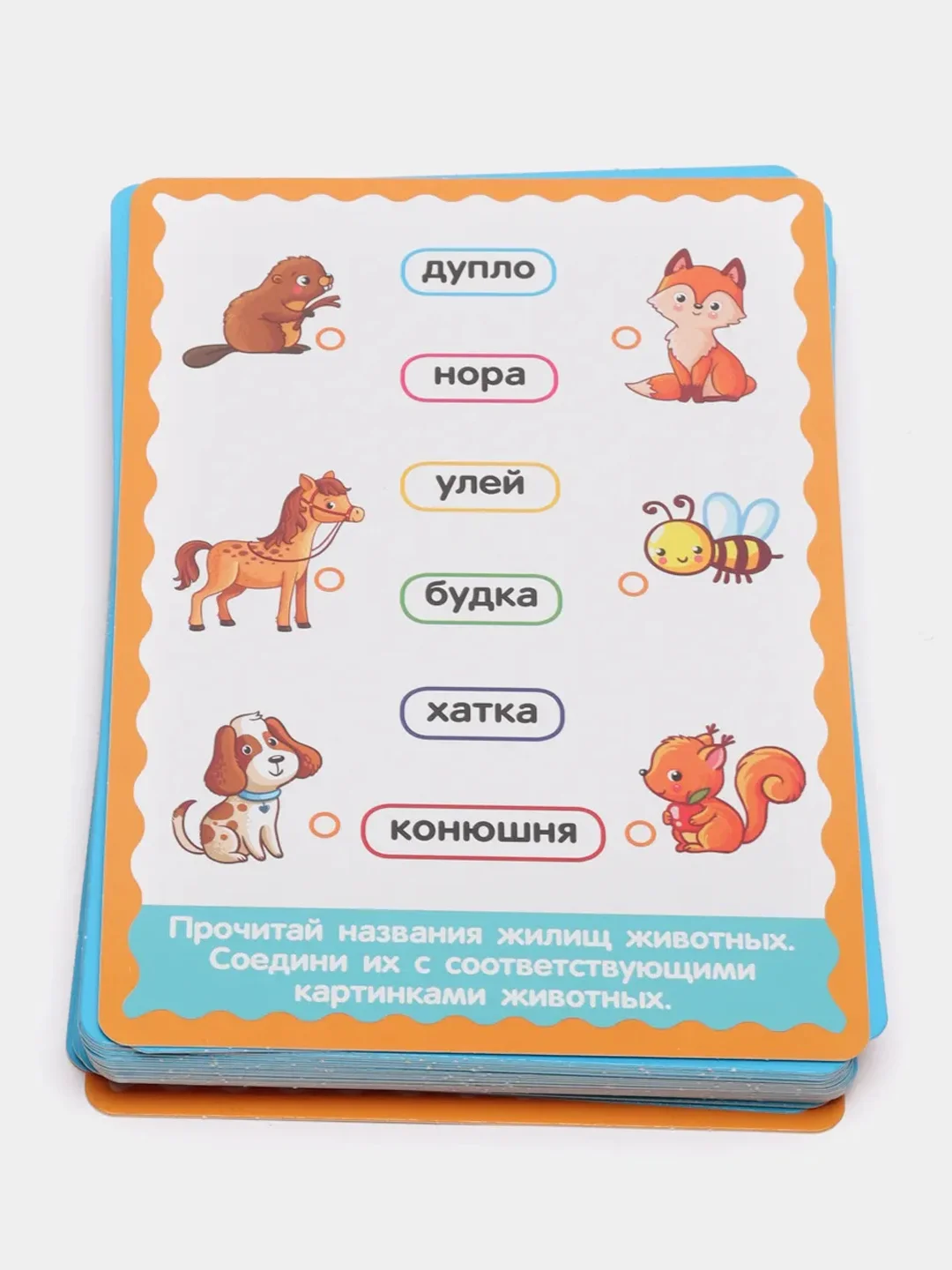 Развивающие карточки "Кто где живет?" В.А.Степанов, 32 карточки