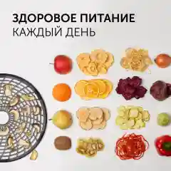 Сушилка для овощей и фруктов RED Solution RFD-0121