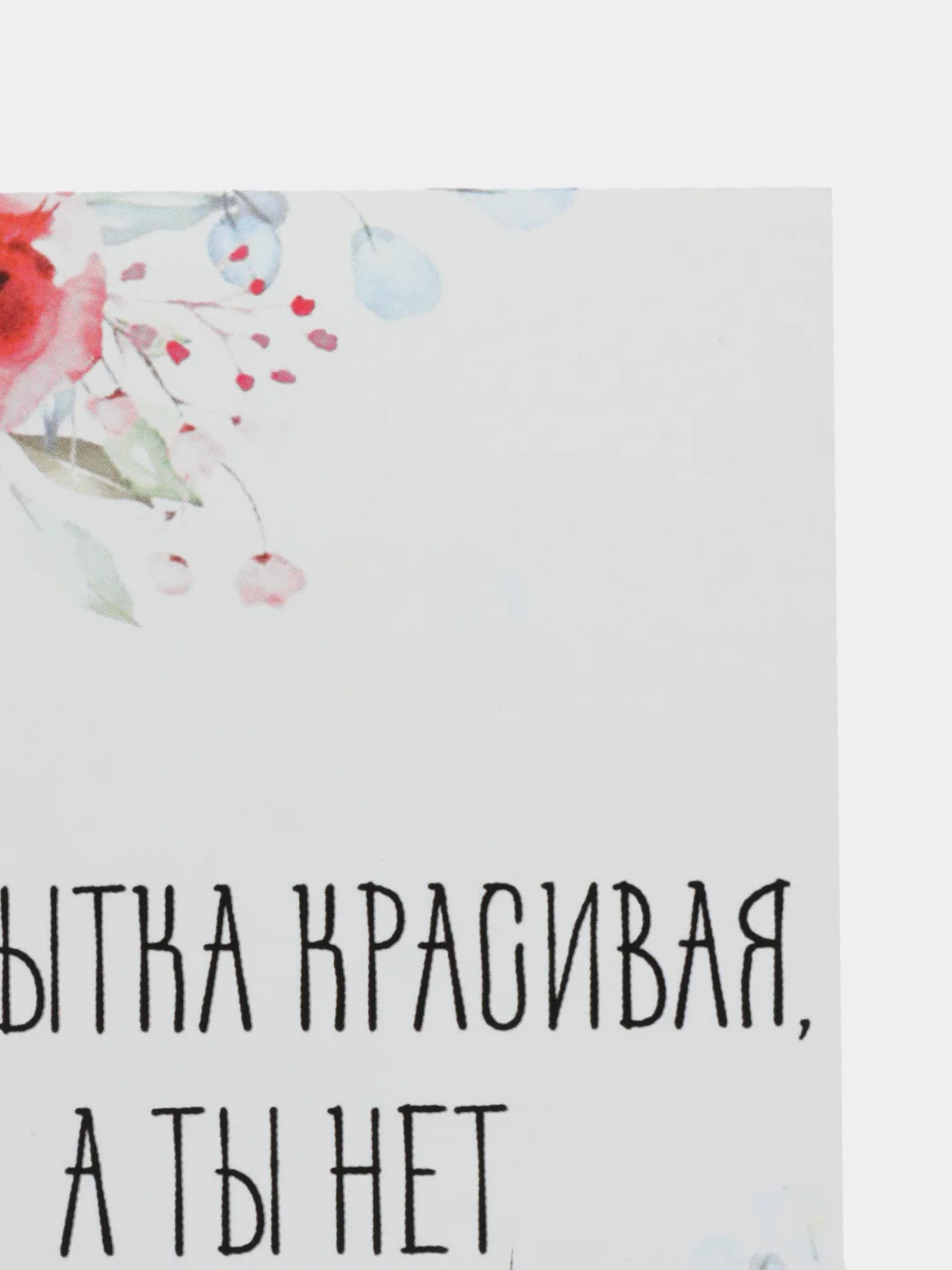 ОТкртыка "Открытка красивая а ты нет"