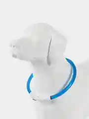 Красный светящийся  ошейник силиконовый для собак на USB зарядке