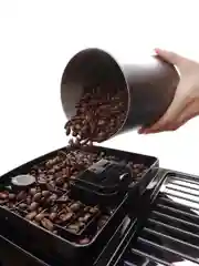 Кофемашина DeLonghi ECAM220.31.SB, черный/серебристый