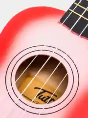 Укулеле сопрано Tutti JR-11 PKB