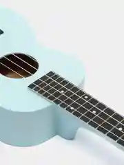 Укулеле концерт Tutti JR-13 LBL