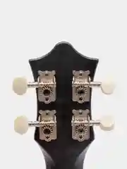Укулеле сопрано Tutti JR-10 ANMG
