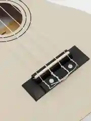 Укулеле сопрано Tutti JR-10 SWH