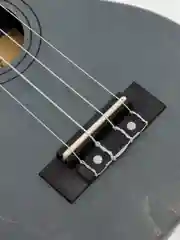 Укулеле сопрано Tutti JR-10 Grey