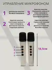 Синий портативная музыкальная караоке, колонка с подсветкой и микрофоном, подарок