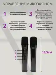 Черный портативная музыкальная караоке, колонка с подсветкой и микрофоном, подарок