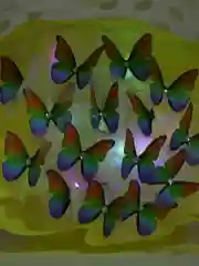 Готовый!Светящийся букет из бабочек