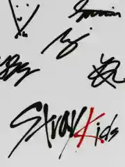 Пластиковая карточка Stray Kids, карта Стрей Кидс, K-pop, кпоп, к поп