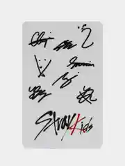 Пластиковая карточка Stray Kids, карта Стрей Кидс, K-pop, кпоп, к поп