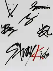 Пластиковая карточка Stray Kids, карта Стрей Кидс, K-pop, кпоп, к поп