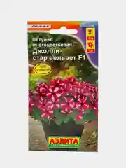 Петуния Джолли стар вельвет (семена,цветы)