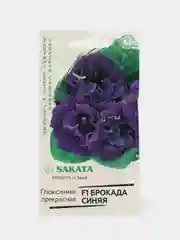 Глоксиния Брокада синяя (семена,цветы)