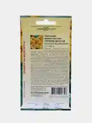 Семена цветов Кроссандра "Тропик желтая"