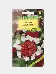 Калина Саржента (семена,цветы)