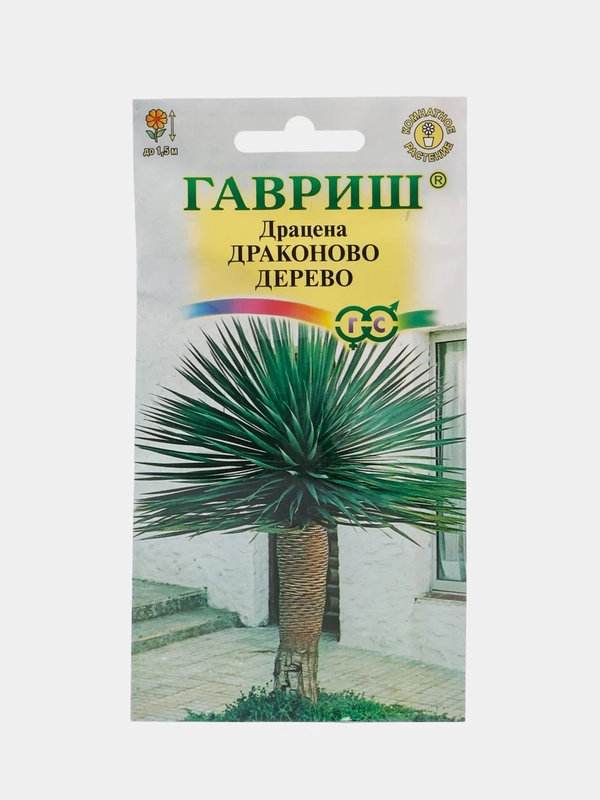 Драцена Драконово дерево (семена,цветы)