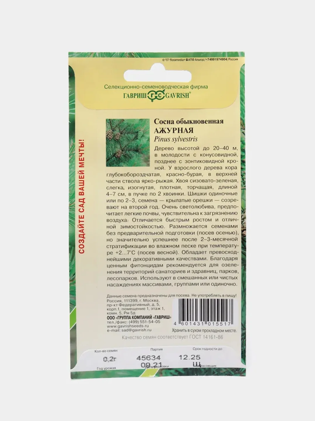 Семена Сосна "Ажурная"