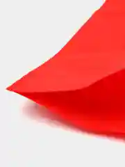 Красный сумка из нетканного материала