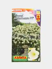 Петуния Минибелло лайм (семена,цветы)