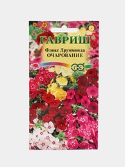Флокс Очарование смесь (семена,цветы)