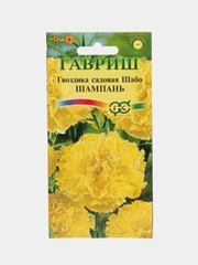 Гвоздика Шабо шампань (семена,цветы)