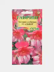 Бегония Алькор (семена,цветы)