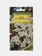 Груша Уссурийская (семена)