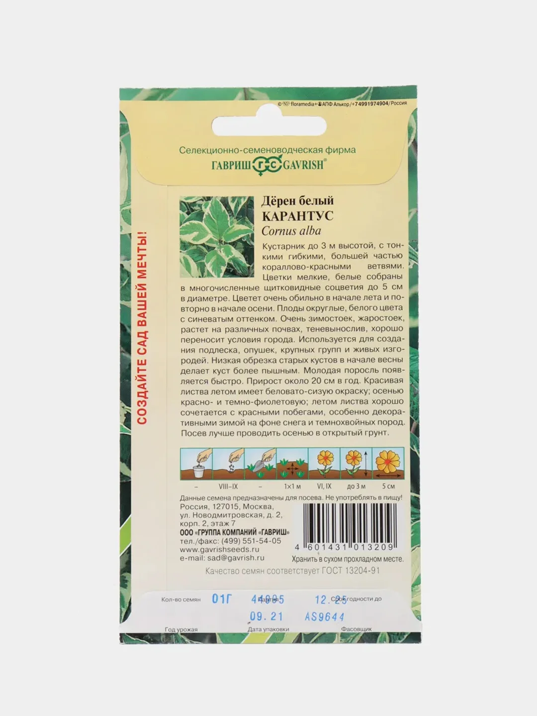 Дерен белый Карантус (семена лесной уголок)