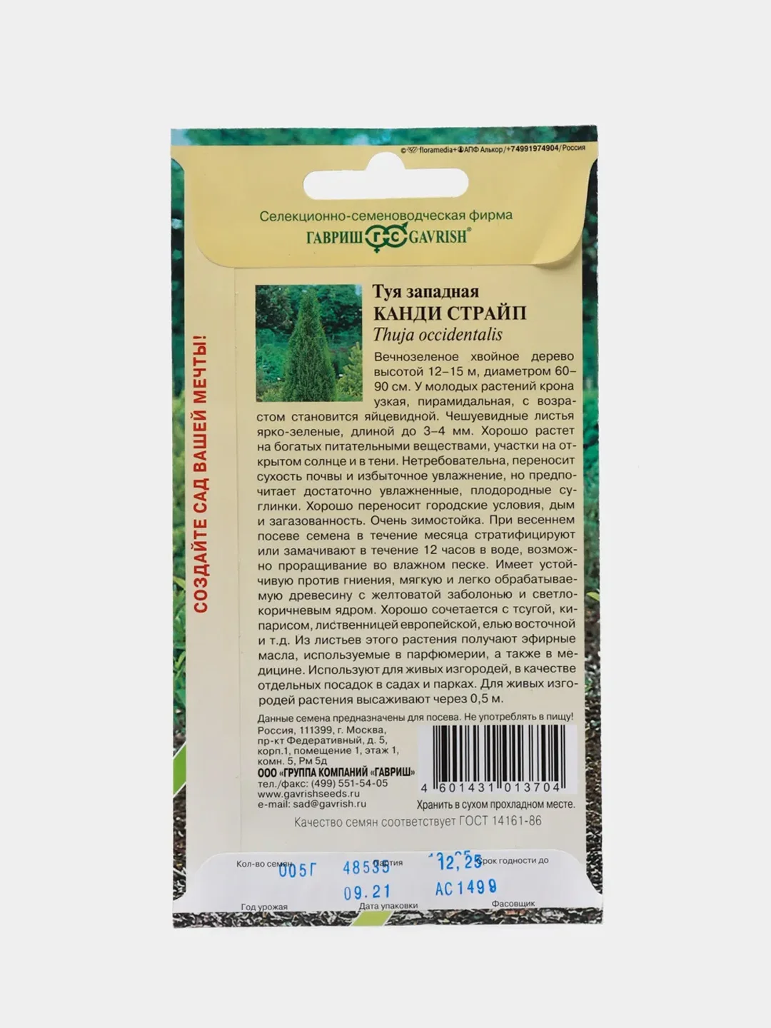 Туя западная Канди страйп (семена лесной уголок)