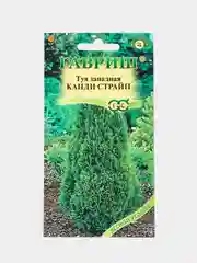 Туя западная Канди страйп (семена лесной уголок)