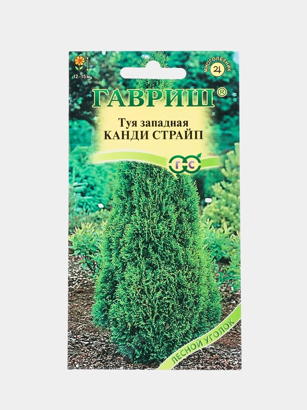 Туя западная Канди страйп (семена лесной уголок)