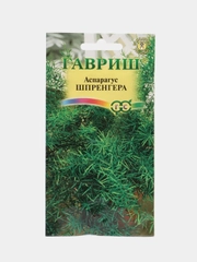 Аспарагус Шпренгера (семена,цветы)