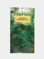 Аспарагус Шпренгера (семена,цветы)