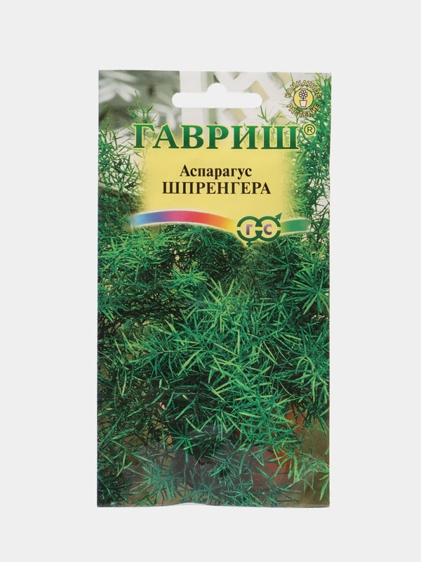 Аспарагус Шпренгера (семена,цветы)